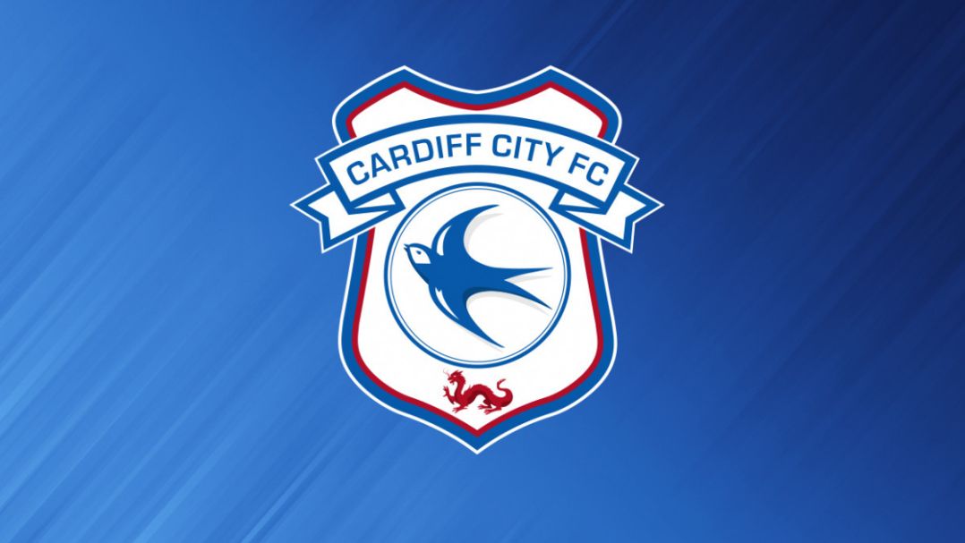 Cardiff City find a “number of significant concerns” from its investigation into bullying