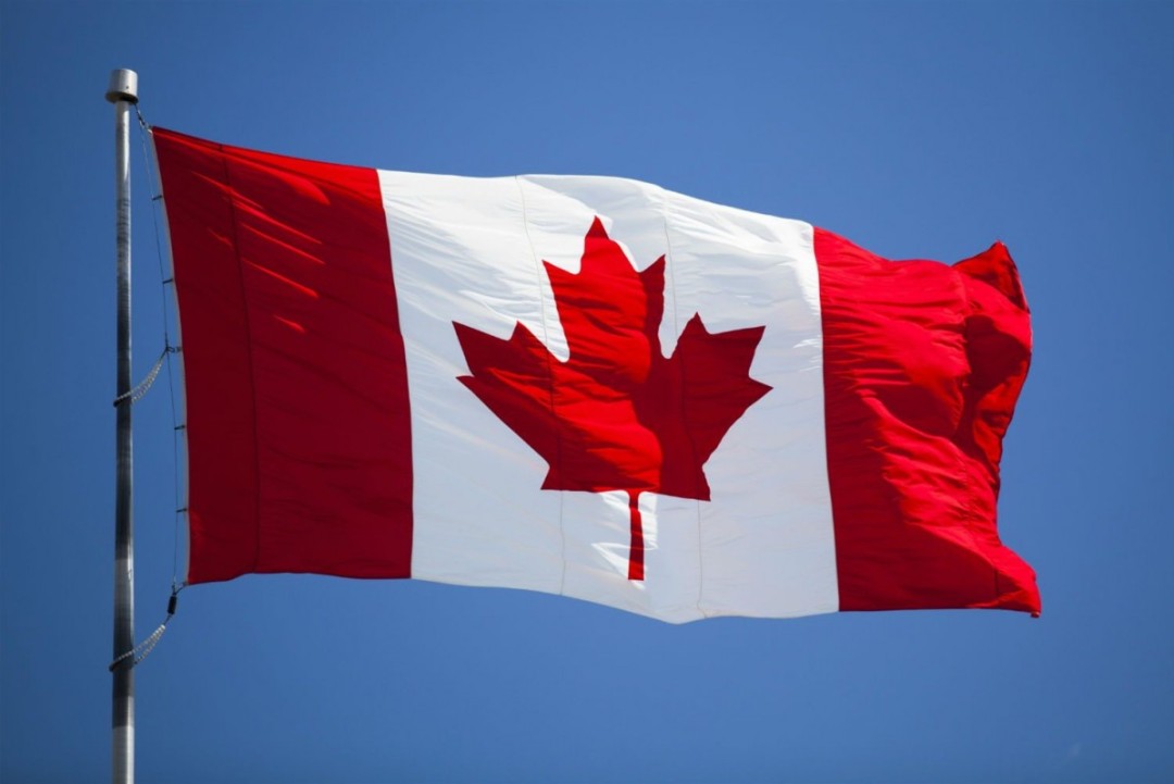 More than two dozen Canadian sporting organisations call on Trudeau to launch a national inquiry