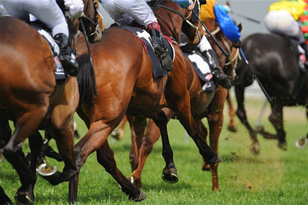 Jockeys face disqualification for breach of BHA whipping rules