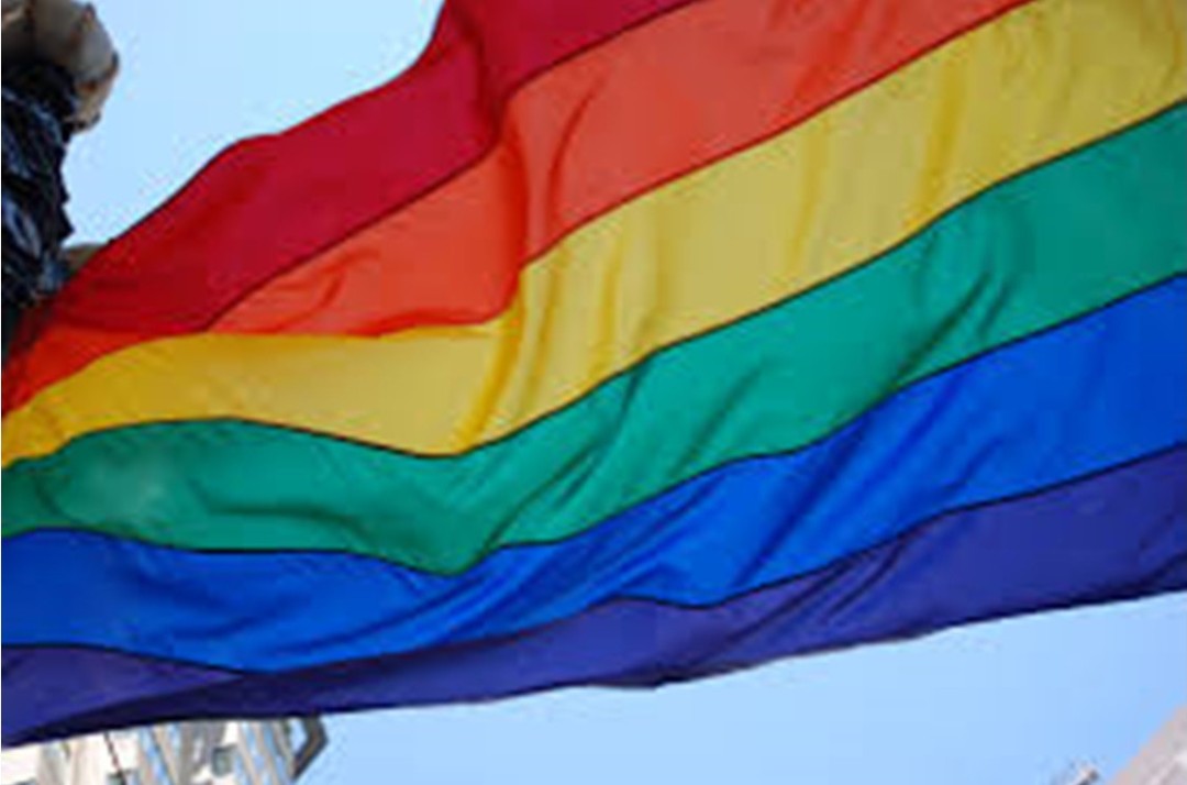 Study finds that homophobic language is drastically reduced at clubs taking part in pride games
