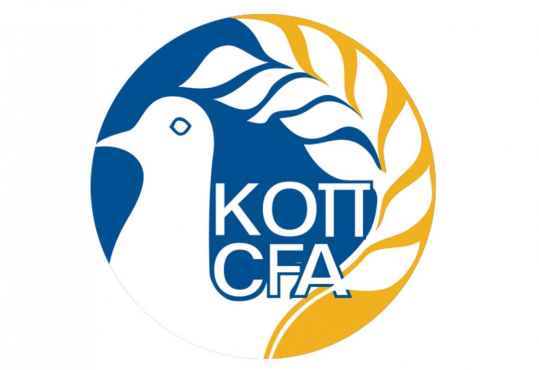 Cyprus Football Association suspends games after bomb attack on referee