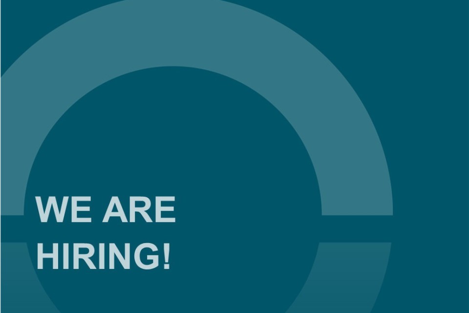 Opportunity: Independent Non-Executive Director to assist with international growth