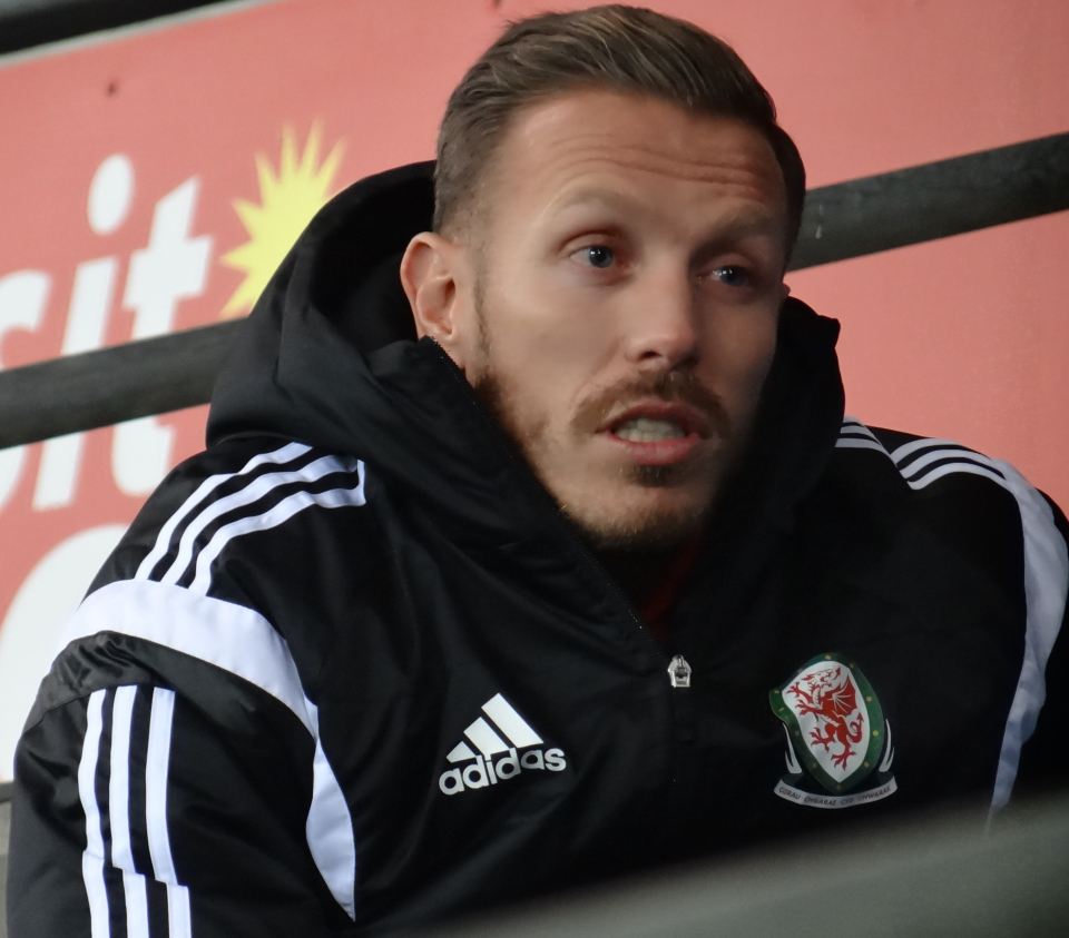 Craig Bellamy has stepped down from his position following accusations of bullying.