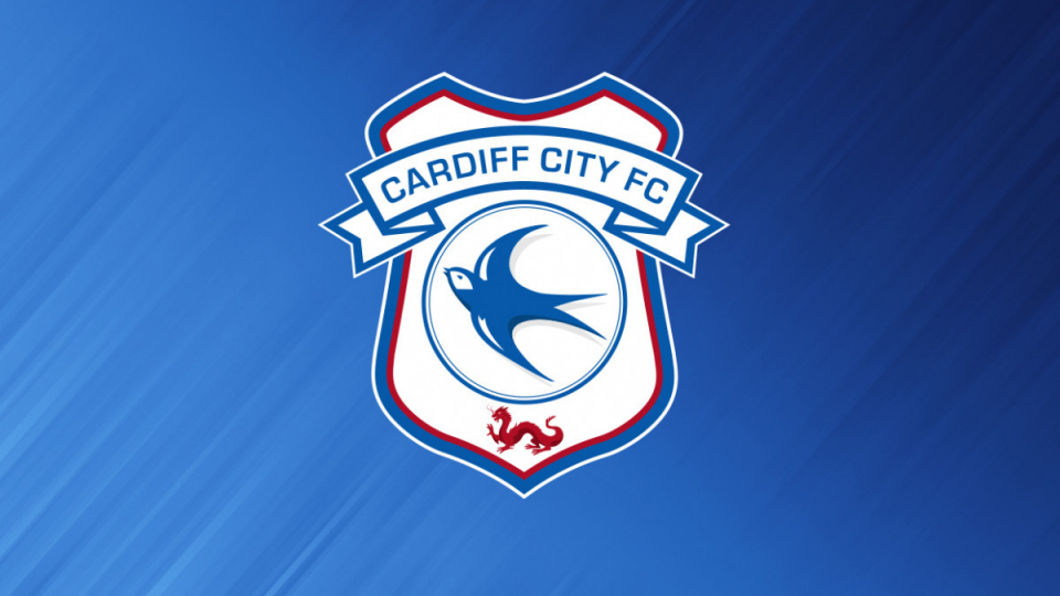 Cardiff City find a “number of significant concerns” from its investigation into bullying