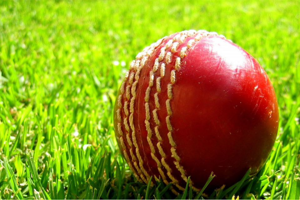 Sports Minister says independent regulator in cricket is a possible option 